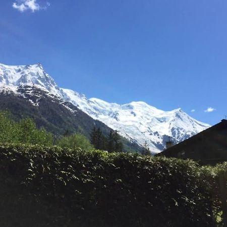 Studio Au Calme Avec Jardin Et Vue Mont-Blanc Chamonix Bagian luar foto