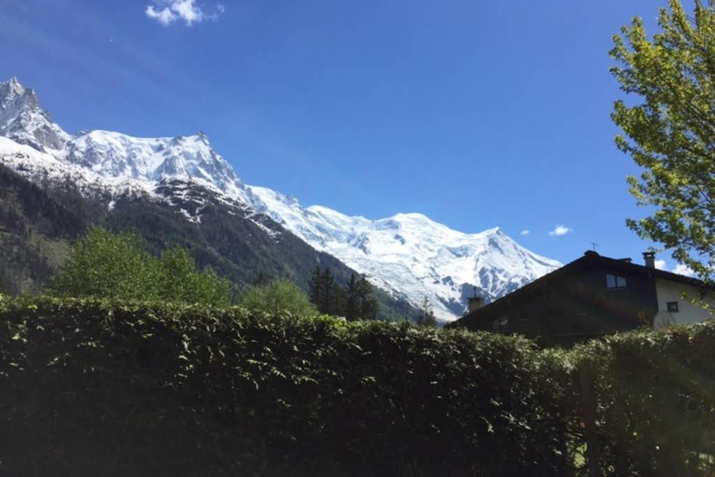 Studio Au Calme Avec Jardin Et Vue Mont-Blanc Chamonix Bagian luar foto