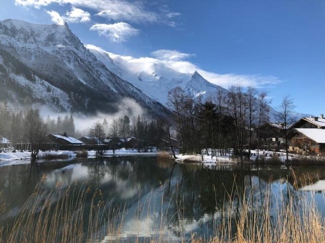 Studio Au Calme Avec Jardin Et Vue Mont-Blanc Chamonix Bagian luar foto