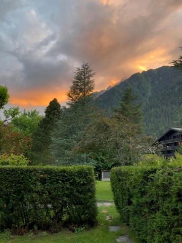 Studio Au Calme Avec Jardin Et Vue Mont-Blanc Chamonix Bagian luar foto