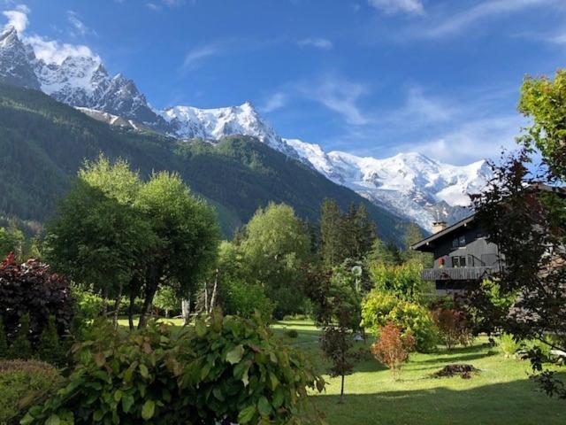 Studio Au Calme Avec Jardin Et Vue Mont-Blanc Chamonix Bagian luar foto